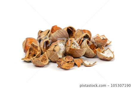 Spoiled Nuts, Mold on Nut Shells, Low Quality Toxic Products, Improper Storage, Spoiled Hazelnuts Isolated 105307190