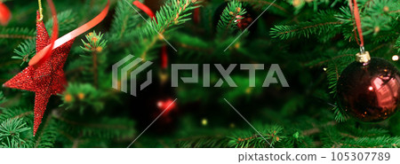 Natural green spruce twig background or texture 105307789