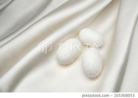 silk satin and cocoon ball silk satin and cocoon ball 105308053