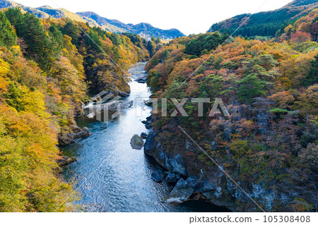 Tochigi Nikko City Kinugawa Onsen in autumn colors View from the Kinu Tateiwa Otsuribashi Suspension Bridge 105308408