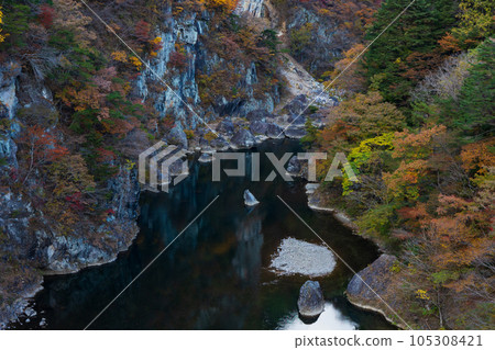 Tochigi Nikko City Kinugawa Onsen in autumn colors View from the Kinu Tateiwa Otsuribashi Suspension Bridge 105308421