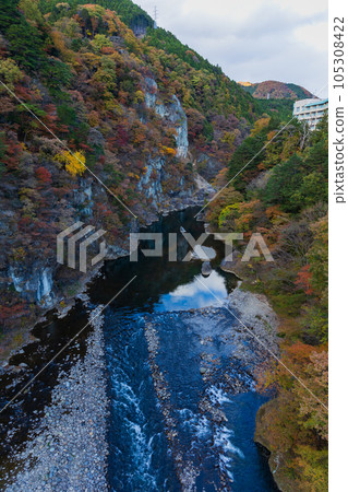 Tochigi Nikko City Kinugawa Onsen in autumn colors View from the Kinu Tateiwa Otsuribashi Suspension Bridge 105308422