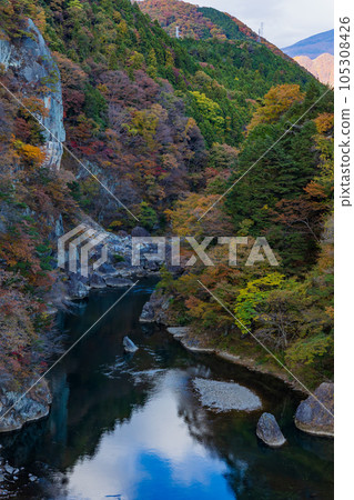 Tochigi Nikko City Kinugawa Onsen in autumn colors View from the Kinu Tateiwa Otsuribashi Suspension Bridge 105308426