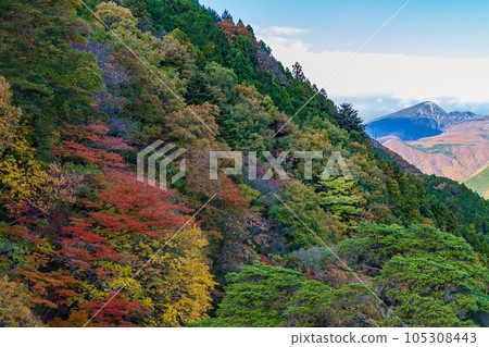 Tochigi Nikko City, Kinugawa Onsen in autumn colors, view from Tateiwa Observation Deck 105308443