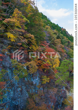 Tochigi Nikko City, Kinugawa Onsen in autumn colors, view from Tateiwa Observation Deck 105308444