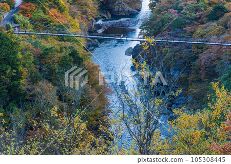 栃木日光市鬼怒川溫泉的秋天色彩,從立岩觀景台看到的景色 栃木日光市鬼怒川溫泉的秋天色彩,從立岩觀景台看到的景色 105308445