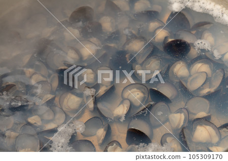 淡水蛤蜊煮 105309170