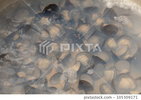 Freshwater clams simmered Freshwater clams simmered 105309171