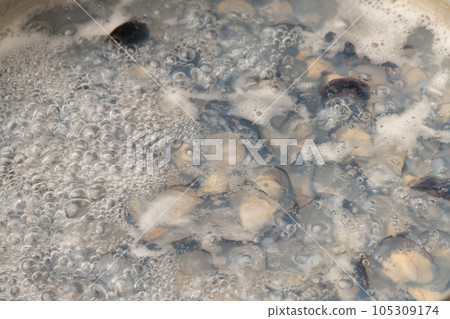 Freshwater clams simmered Freshwater clams simmered 105309174