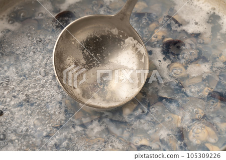 Freshwater clams simmered Freshwater clams simmered 105309226