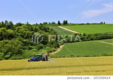 In Hokkaido in July, the scent of early summer felt in the hills of Biei, the mellow earth, and the town of the hills reminiscent of European country towns. 105309424