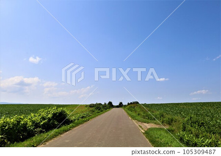 In Hokkaido in July, the scent of early summer felt in the hills of Biei, the mellow earth, and the town of the hills reminiscent of European country towns. In Hokkaido in July, the scent of early summer felt in the hills of Biei, the mellow earth, and the town of the hills reminiscent of European country towns. 105309487