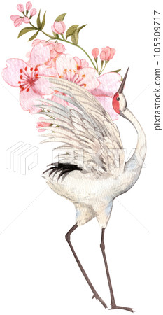 Crane and chinese art watercolor element png Crane and chinese art watercolor element png 105309717