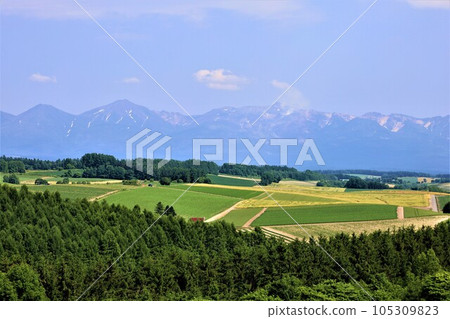七月的北海道,美瑛的山丘上瀰漫著初夏的氣息,鬆軟的大地,以及讓人想起歐洲鄉村小鎮的山丘小鎮。 七月的北海道,美瑛的山丘上瀰漫著初夏的氣息,鬆軟的大地,以及讓人想起歐洲鄉村小鎮的山丘小鎮。 105309823