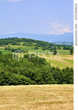 In Hokkaido in July, the scent of early summer felt in the hills of Biei, the mellow earth, and the town of the hills reminiscent of European country towns. 105309828