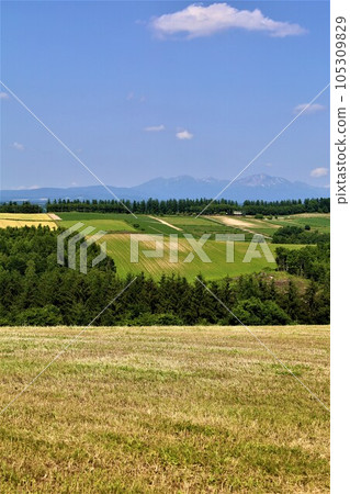 In Hokkaido in July, the scent of early summer felt in the hills of Biei, the mellow earth, and the town of the hills reminiscent of European country towns. 105309829