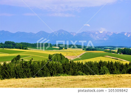 In Hokkaido in July, the scent of early summer felt in the hills of Biei, the mellow earth, and the town of the hills reminiscent of European country towns. 105309842