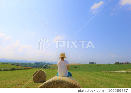 七月的北海道,美瑛的山丘上瀰漫著初夏的氣息,鬆軟的大地,以及讓人想起歐洲鄉村小鎮的山丘小鎮。 七月的北海道,美瑛的山丘上瀰漫著初夏的氣息,鬆軟的大地,以及讓人想起歐洲鄉村小鎮的山丘小鎮。 105309887