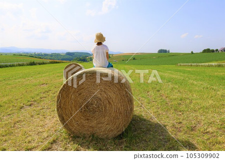 In Hokkaido in July, the scent of early summer felt in the hills of Biei, the mellow earth, and the town of the hills reminiscent of European country towns. 105309902