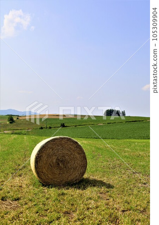七月的北海道，美瑛的山丘上瀰漫著初夏的氣息，鬆軟的大地，以及讓人想起歐洲鄉村小鎮的山丘小鎮。 105309904