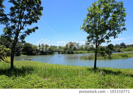 [台灣台東縣] 台東森林公園 105310771