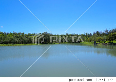 [Taitung County, Taiwan] Lake in Taitung Forest Park (Heron Lake) 105310772