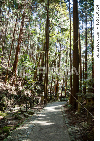 天岩戶引道（三重縣志摩市） 105310824