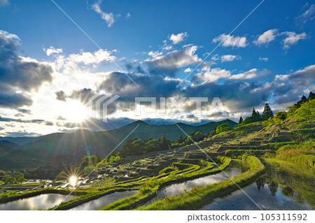 [Maruyama Senhada (Evening)] Maruyama, Kiwa-cho, Kumano City, Mie Prefecture 105311592