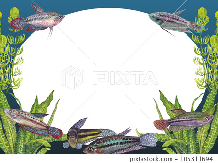 Sparkling gouramis fish and coral frame png 105311694