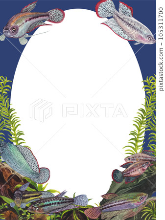 Sparkling gouramis fish and coral frame png 105311700