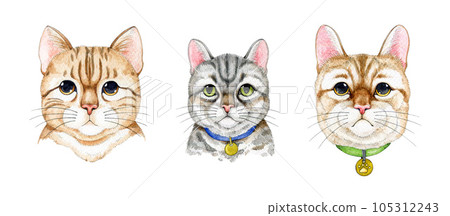 Cute tabby cat portrait set. Watercolor cartoon style illustration. Hand painted grey and red striped kitty faces. Funny cats collection. Isolated on white background 105312243