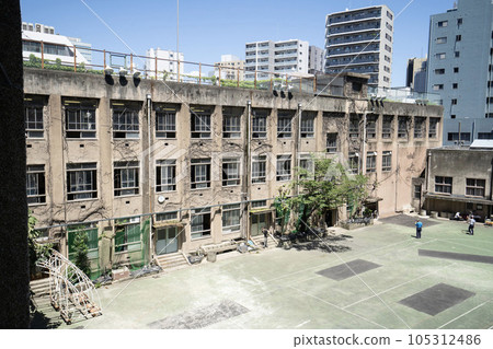 Abandoned schools, abandoned school buildings, dilapidated elementary schools, ivy-covered campuses, 105312486