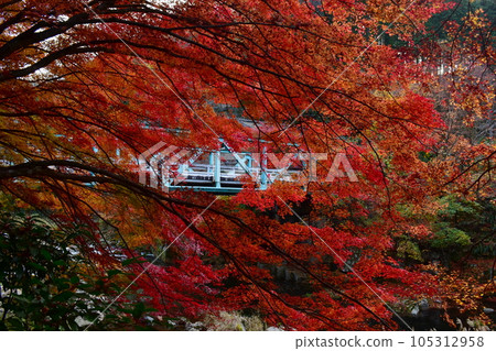 秋葉 奧津谷 岡山 岡山縣 秋天紅葉橋 105312958