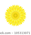 yellow chrysanthemum flower illustration 105313071