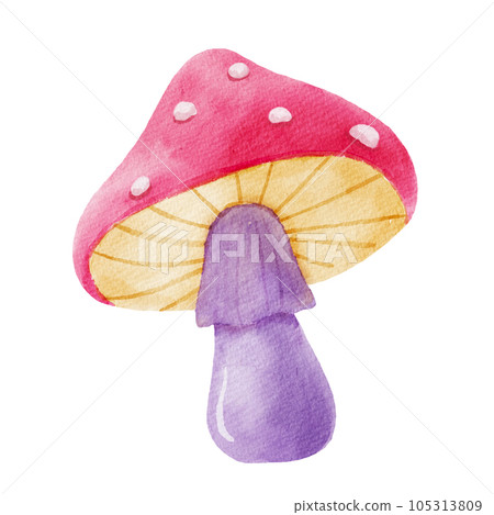 Watercolor illustration fly agaric mushroom. Hand drawn poison fungi. Forest cute stylized mushroom isolated on white 105313809