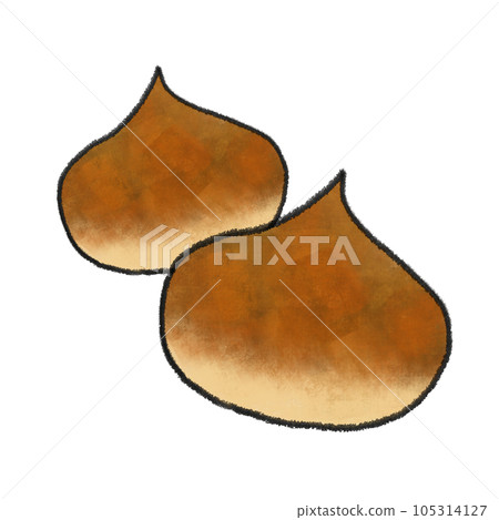 Contoured watercolor hand-drawn illustration of two chestnuts Contoured watercolor hand-drawn illustration of two chestnuts 105314127