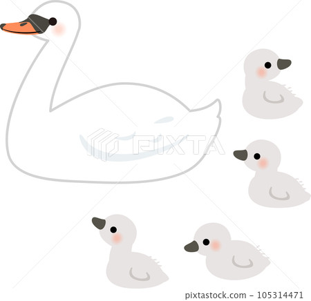 天鵝親鳥和雛鳥 天鵝親鳥和雛鳥 105314471