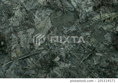 一聲呻吟從大地深處傳來。聽起來就像你在對地球上的生物大喊大叫。 一聲呻吟從大地深處傳來。聽起來就像你在對地球上的生物大喊大叫。 105314571