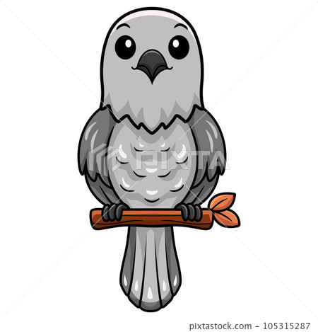 Cute northern mockingbird cartoon on tree branch Cute northern mockingbird cartoon on tree branch 105315287