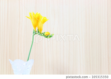 Freesia, vase, glass vase (copy space, natural) 105315350