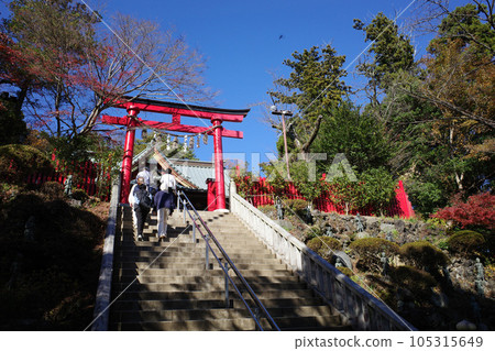 The red torii gate and autumn leaves of Mt. 105315649