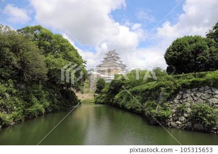 從姬路市動物園看到的姬路城（兵庫縣姬路市） 105315653