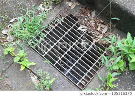 Fallen leaves piled up on the drain cover 105316370