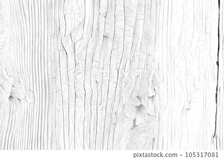 Wood white texture of cut tree, close-up. Wooden pattern 105317081