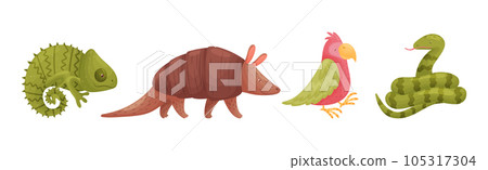 Cute African Animals and Zoo Creature Vector Set Cute African Animals and Zoo Creature Vector Set 105317304
