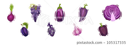 Purple Fruit and Vegetable with Eggplant, Grapes, Cabbage, Pepper, Onion, Garlic and Plum Vector Set 105317335