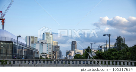 Shibuya area seen from Jingu Bridge in Harajuku 2 105317654