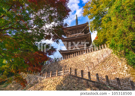 [China's 33 Kannon Sacred Sites] No. 28 Kiyomizu-dera Temple Late Autumn Three-storied Pagoda 3 Yasugi City, Shimane Prefecture 105318500