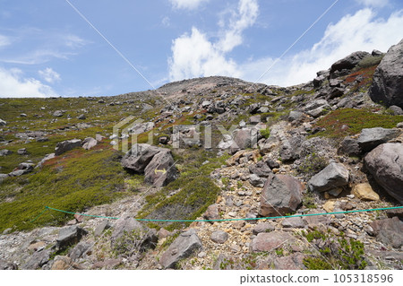 從茶臼山側翼的牛嶽山路仰望茶臼山山頂 2023年5月30日 從茶臼山側翼的牛嶽山路仰望茶臼山山頂 2023年5月30日 105318596
