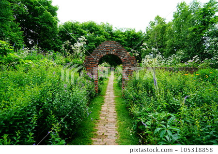 北海道上野農場 夏天 105318858